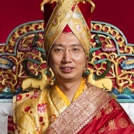 Enthronement of the 42nd Sakya Trizin, His Holiness Ratna Vajra Rinpoche