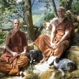 Western Buddhist Monks Find Spiritual Joy in the Sri Lankan Wilds
