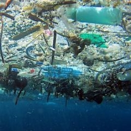 Dutch Entrepreneur Plans Radical Clean-up of the Great Pacific Garbage Patch