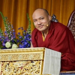 His Holiness the Karmapa Begins Landmark UK Visit