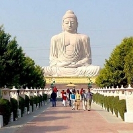 Being Buddhist in India Today: Seizing Mount Sumeru in the Latter Day of the Law