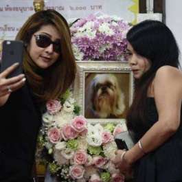 Buddhist Funeral Rites for Pets Gain Popularity in Thailand