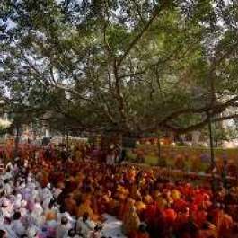 13th International Tipitaka Chanting Ceremony Held at Bodh Gaya
