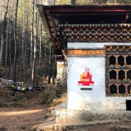 Street Artist “Invader” Draws Criticism after Defacing Buddhist Monuments in Bhutan