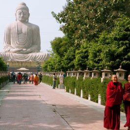High Court Orders Bodh Gaya a Plastic-free Zone, Demands Government Action against Plastic Pollution