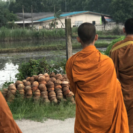 Buddhist “Eco-monks” Work to Protect Thailand’s Environment