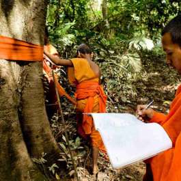 Buddhist Monks Battle to Save Cambodia’s Forests