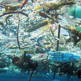 Largest Cleanup Project in History to Tackle the Great Pacific Garbage Patch
