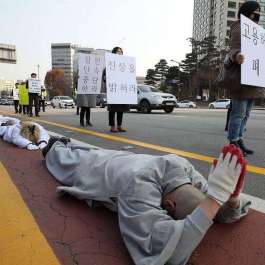 Buddhist Monks in Seoul Perform Ritual Prostration to Seek Justice for Dead Myanmar Worker