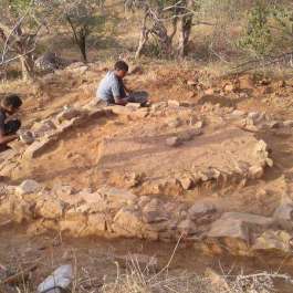 Archaeological Survey of India Identifies Buddhist Settlement at Taranga Hills in Gujarat