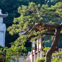 Korea Opens Up UNESCO World Heritage Mountain Monasteries for Temple Stays