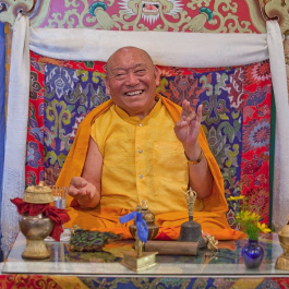 Revered Buddhist Lama Wangdor Rinpoche Dies In Northern India
