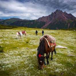 Visions of Spiritual Ecology: Diane Barker’s Photography of Tibetan Nomadic Life in China