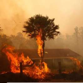 Sakyadhita Australia Association of Buddhist Women Raises Funds for Bushfire Victims