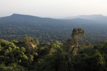 Thailand still has many beautiful forests, but they are under dire threat. Image by Luke Duggleby/www.lukeduggleby.com.