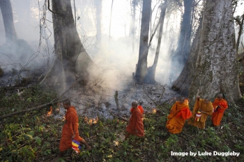 Smoke rises as monks venture into the forest. Image by Luke Duggleby/www.lukeduggleby.com.