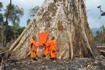 Discussion among monks about the width and length of the cloth.Image by Rod Harbinson.