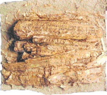 The Bajaur scrolls as they were first discovered. By Nasim Khan, from http://www.geschkult.fu-berlin.de.