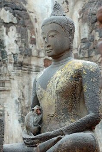 Monkey and Buddha. Lopburi, Thailand. Photo Credit: Amy Dunlop