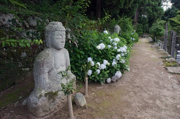 Statues of Amitabha in Jigendo precincts, Sakamoto, Otsu, Shiga prefecture, Japan. From Wikimedia Commons.