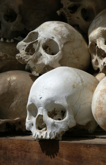Skulls - the timeless reminder of the inevitability of death that stares us all in the face.