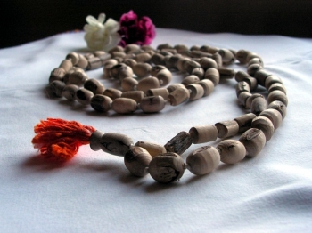 Prayer beads made of Tusali wood. From Wikimedia Commons.