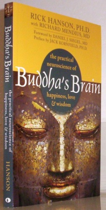 Buddha's Brain. From Amazon.