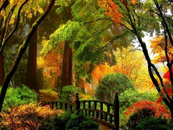 A tranquil garden - as serene and lush as the Pure Land. From SGForums.