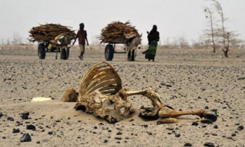 Climate change is set to amplify population displacement and conflict over land and resources. Photograph: Simon Maina/AFP