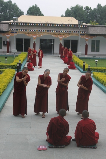 Students at the Sakya College for Nuns practice rhetoric and debate in the institute courtyard. From Fiona White.