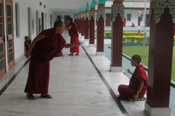 Nuns debating in the traditional style of Vajrayana dialectics. From Fiona White.