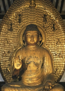 The central Amida image at Joruri-ji, Nara. From yuko isshi, Pinterest.
