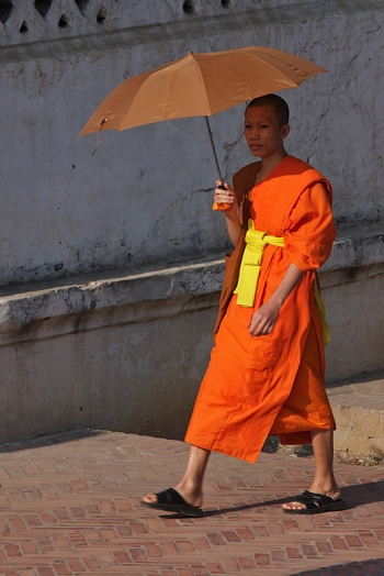 A young monk in Laos. From wikipedia