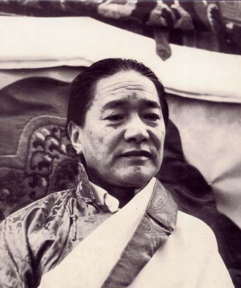 Dudjom Rinpoche. From drukpacouncil.org