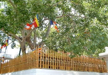 Sri Mahabodhi, from commons.wikimedia.org.