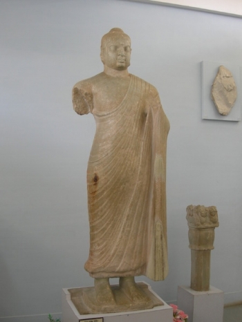 Standing Buddha, Archaeological Museum, Amaravati, Andhra Pradesh. From the stupa at Alluru, Andhra Pradesh, limestone, c. 2nd–3rd century. (P. 45, fig. 1.9.) Photo from Catherine Becker