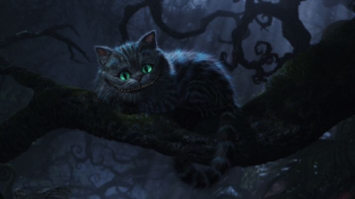 The Cheshire Cat from Tim Burton's film adaptation (2010). From comicvine.com
