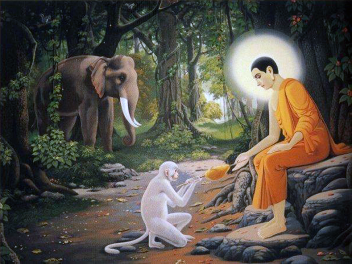 The Buddha with the monkey and the elephant in Parileyya Forest. From scentsofgrace.blogspot.hk