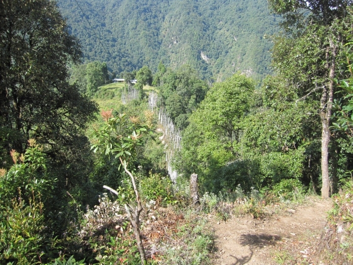 The trek to Palri Buddha Park
