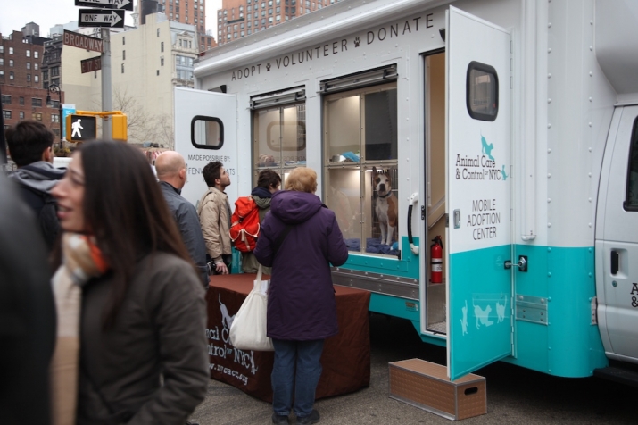 One of the agency's new mobile adoption centers. From newyork.cbslocal.com