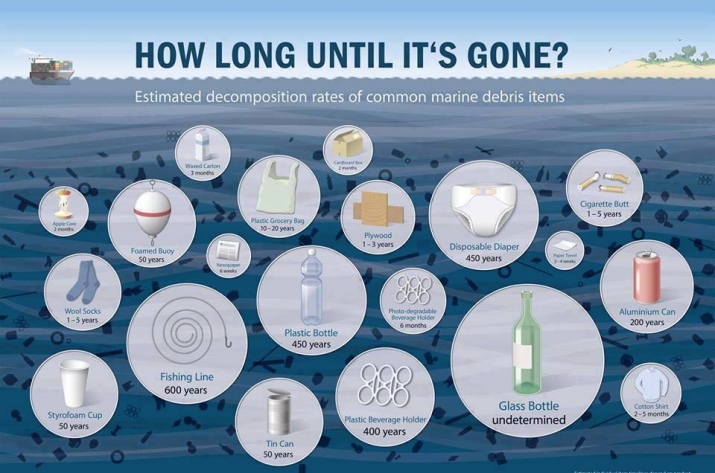 Unrecycled waste, especially plastics, can take hundreds of years to break down. From reallysavvy.com