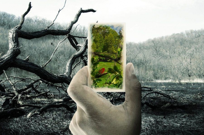 Environmental destruction. From prezi.com