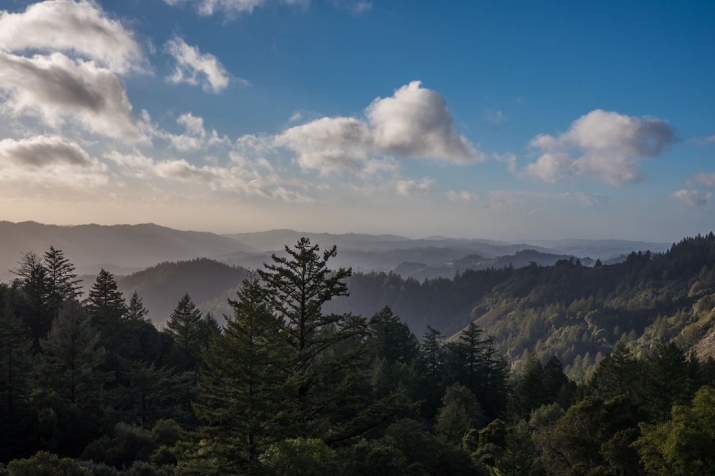 View of the Santa Cruz Mountains. Photo by Sergey Berezin