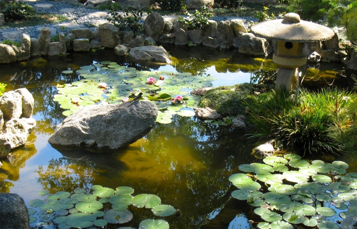 The act of noticing, of paying attention to the details of daily life, is one of the lessons of Miller's latest book, <i>Paradise in Plain Sight: Lessons from a Zen Garden</i>. Image courtesy of the author