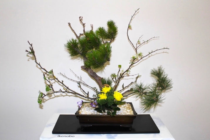 <i>Ikebana</i> by the Ikenobo School, Los Angeles. Image courtesy of the Japanese American Community and Cultural Center, Los Angeles
