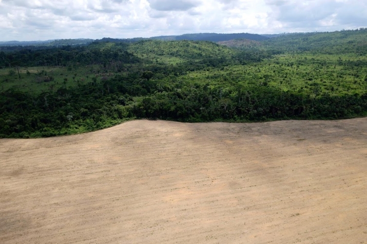 A tract of Amazon rainforest cleared by loggers. From reuters.com