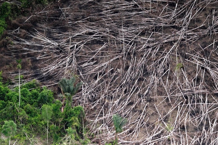 Deforestation in Brazil has risen for a fourth consecutive year. From reuters.com