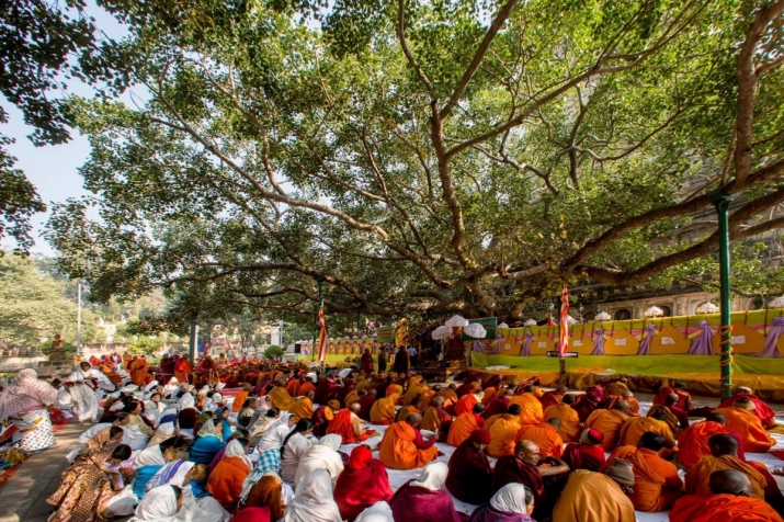 Participants chant under the sacred Bodhi Tree. From ITCC Facebook