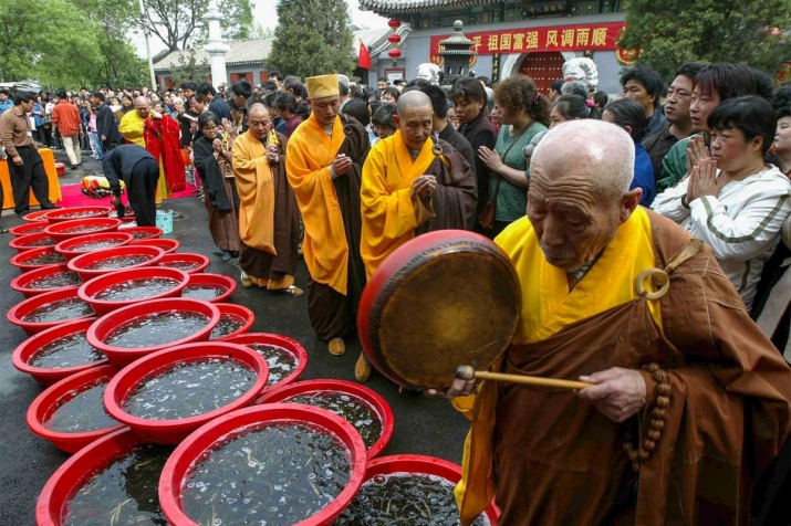 Buddhist monks in Beijing prepare to release turtles into the sea in a life release ceremony. Conservationists say that such practices too often end up harming animals and ecosystems. From nationalgeographic.com