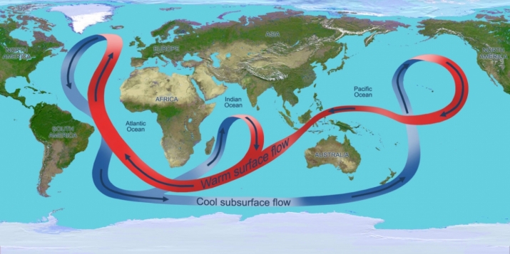 The circulation of the global ocean. Throughout the Atlantic Ocean, warm waters (red arrows) is carried northwards near the surface and cold deep waters (blue arrows) travel southward. From e360.yale.edu